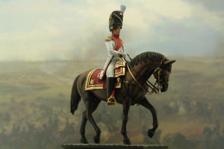 Colonel grenadier foot napoleonic war figures tin